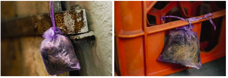 Snímka obrazovky 2025-07-10 o 11.51.30